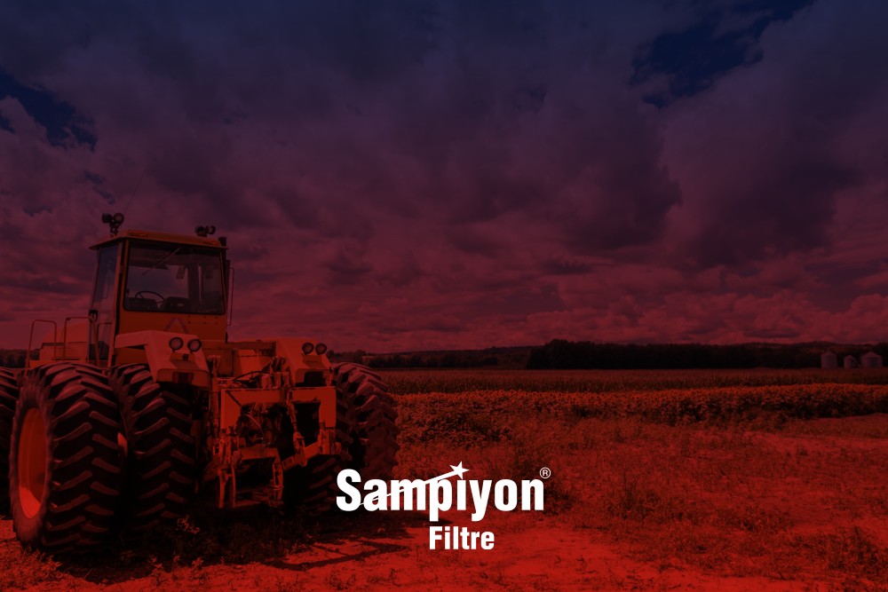 Şampiyon Blog